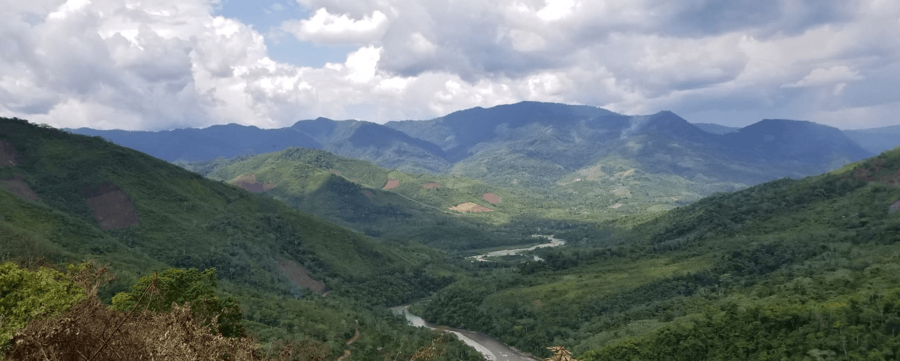 Montagnes, Pérou 2019, Fée d'Or gingembre bio Suisse