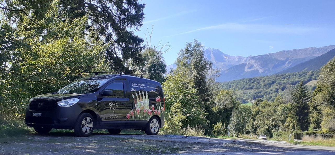 Le gingembre : un allié naturel contre le mal des transports