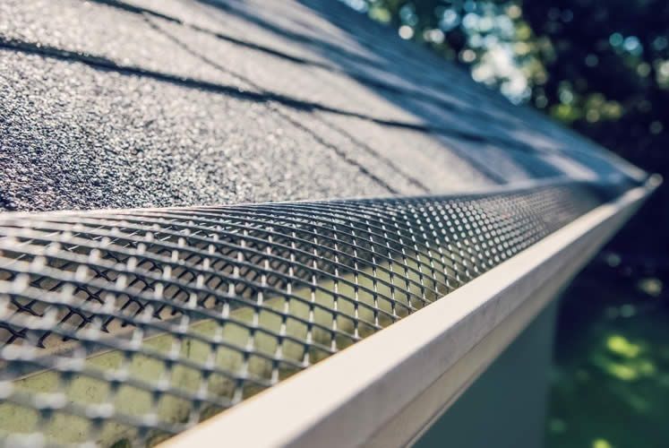 A close up of a gutter with a gutter guard on it.