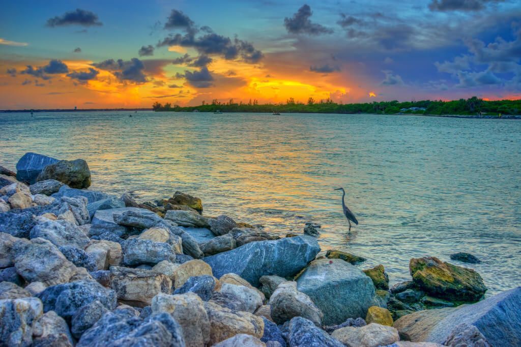 A bird is standing on a rocky beach near the ocean at sunset.