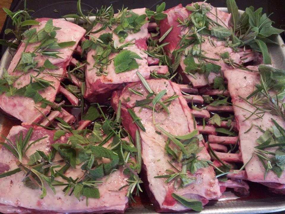 Rack of lamb, marinating