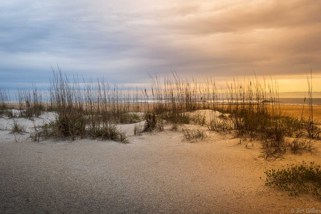 Escape to Paradise: Your Guide to Anastasia State Park