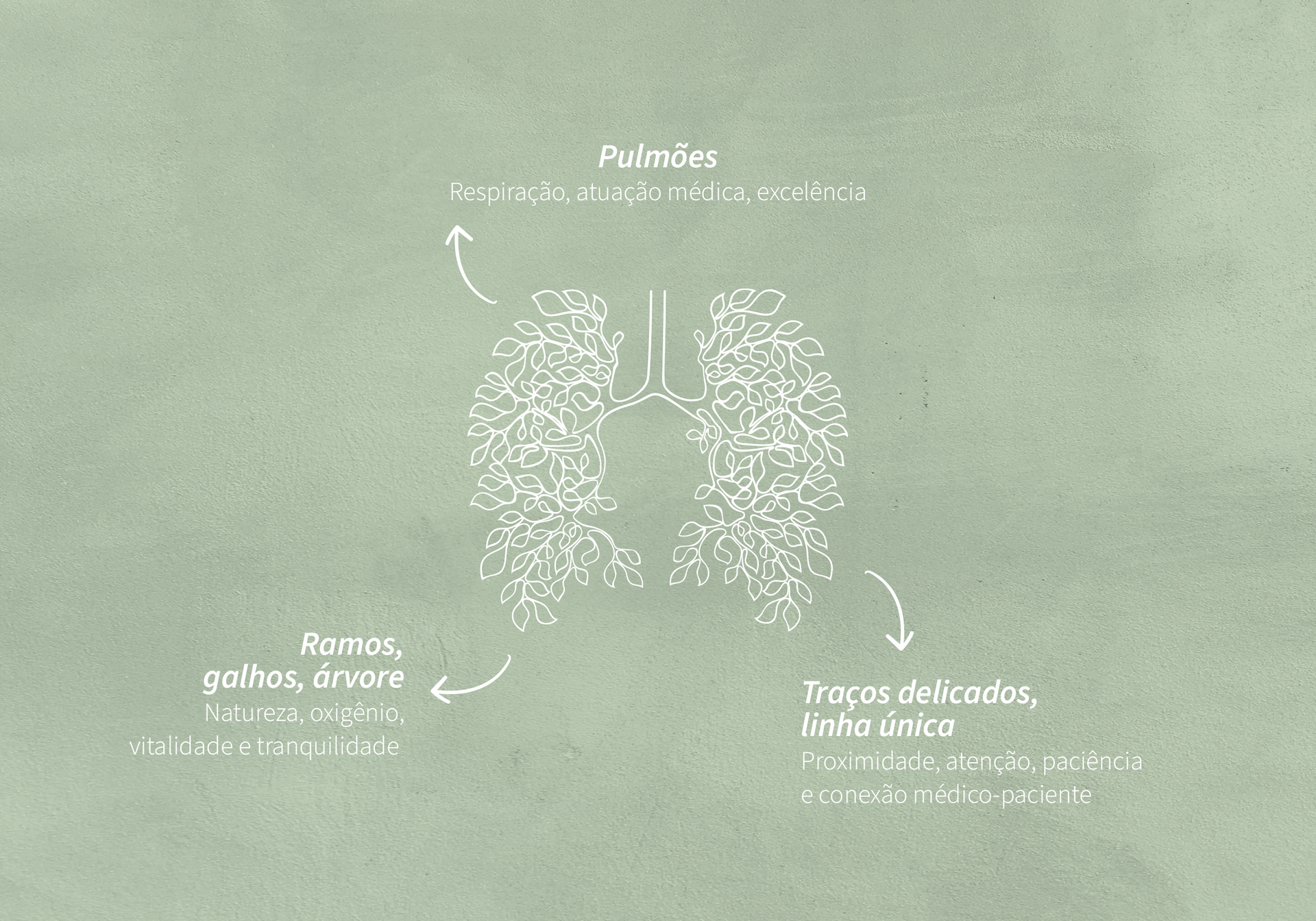Um desenho dos pulmões de uma pessoa em um fundo verde.
