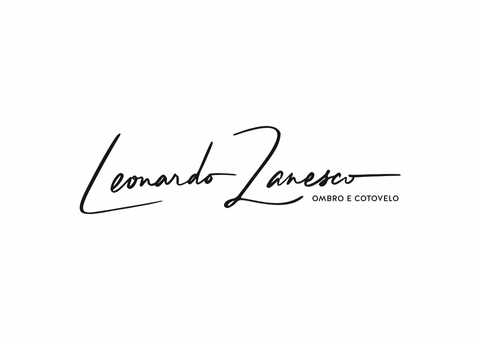Logotipo da assinatura de Leonardo Zanesco em letras pretas, com o texto 