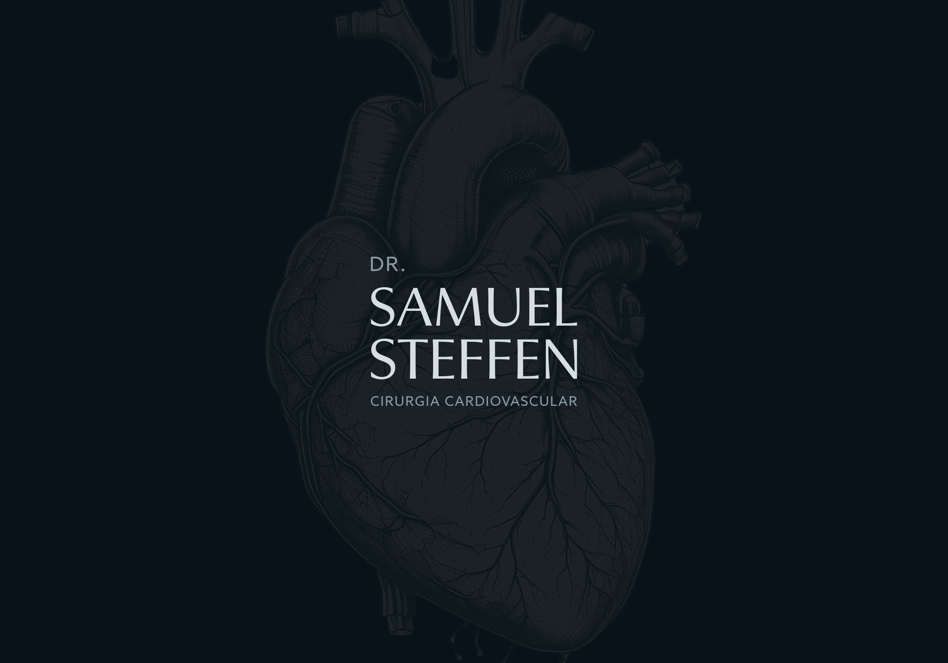 Samuel Steffen - Identidade Visual