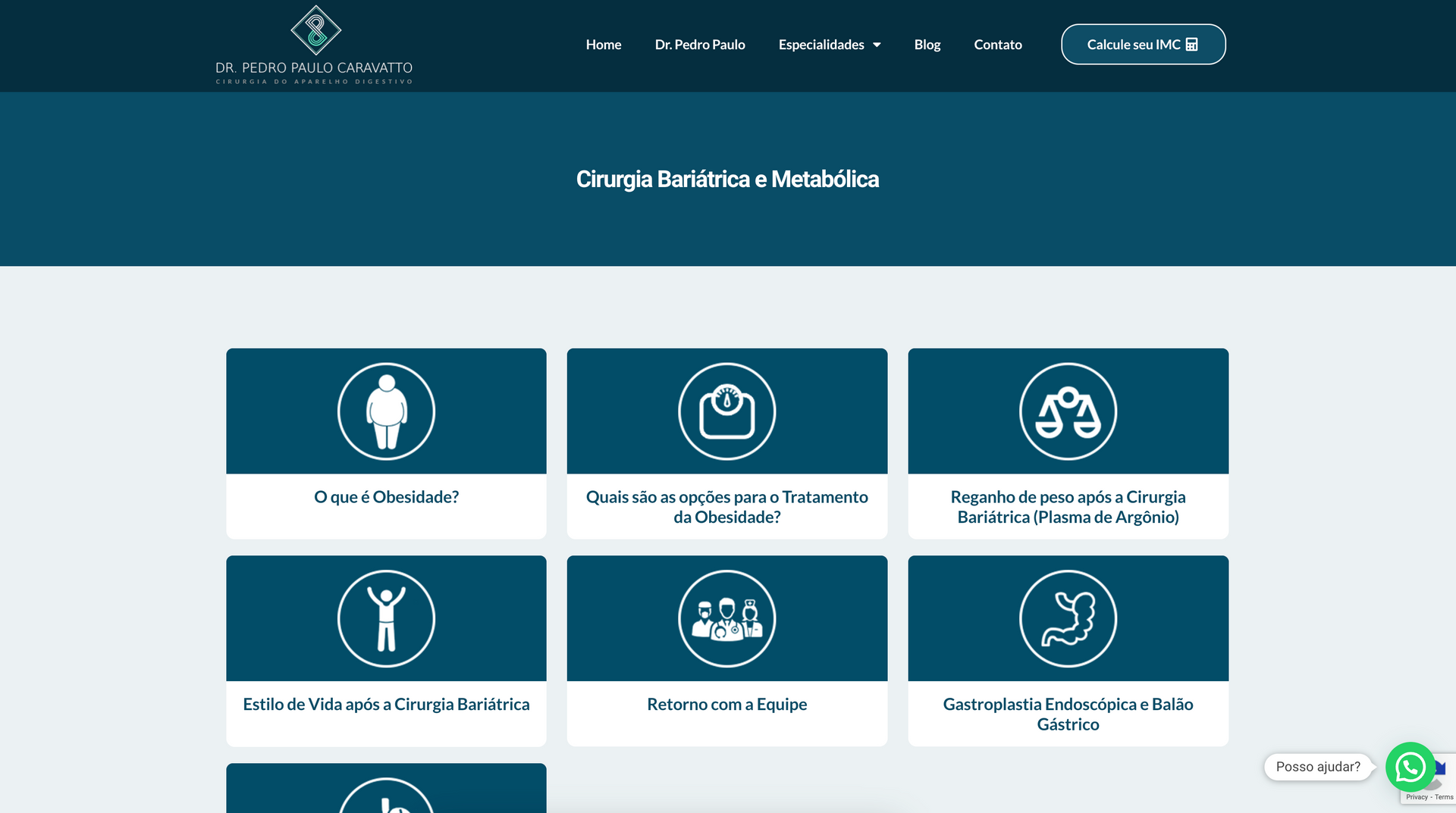 Uma captura de tela de um site com muitos ícones.