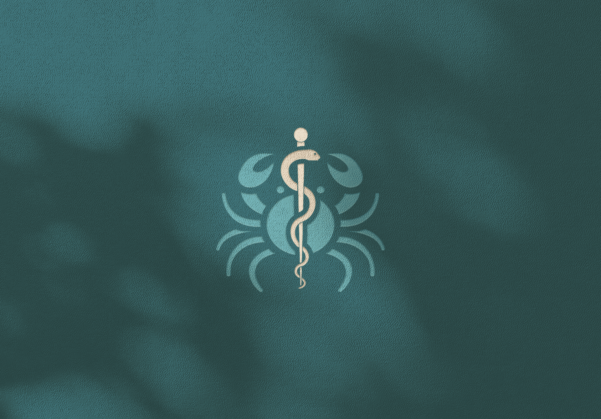 Gustavo Stoduto - Identidade Visual