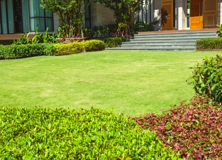 A Manicured Lawn With a Lush Garden — Capital Pro Care in Woden, ACT
