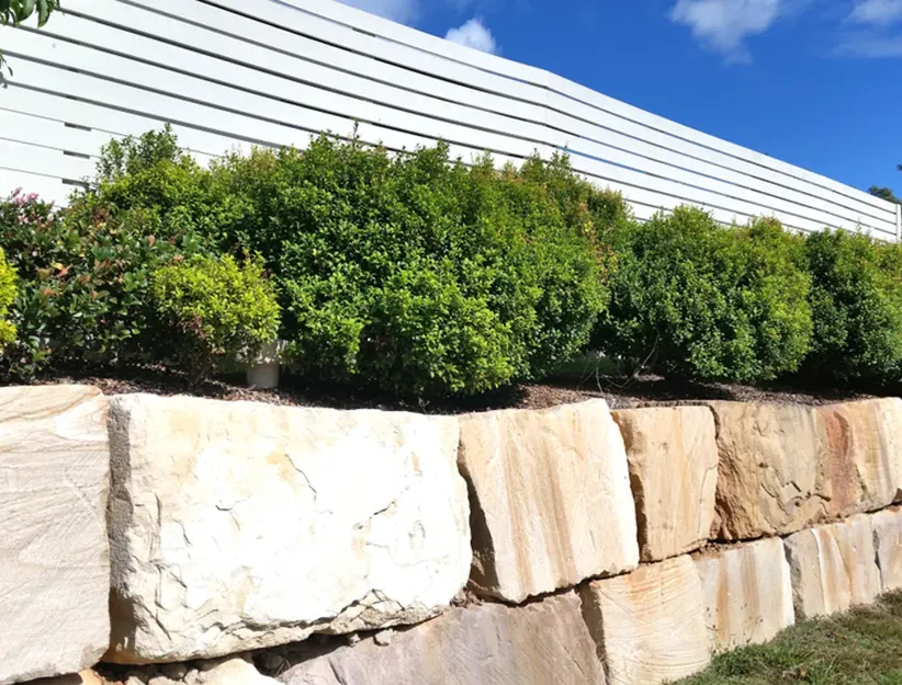 Rockwall With Hedge Plants Along a Fence — Capital Pro Care in Belconnen, ACT