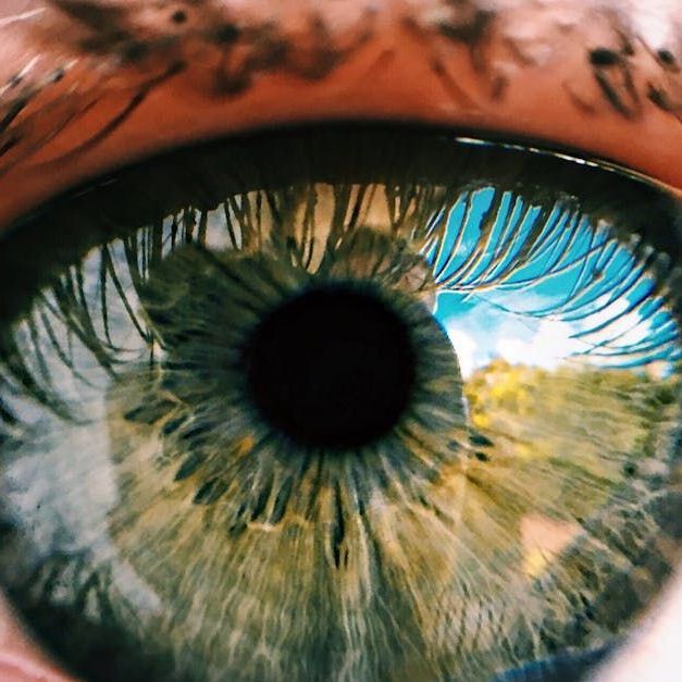 eye, iris, blue-green eye, 