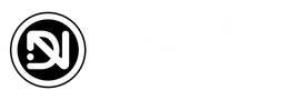 Digital Velocity Logo