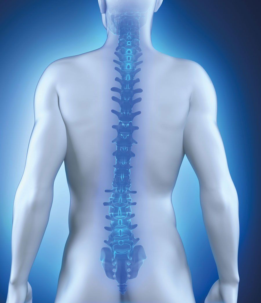 Un'immagine generata dal computer della colonna vertebrale di una persona