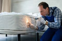 exterminator kneeling beside a bed using a flashlight to inspect a mattress for bed bugs