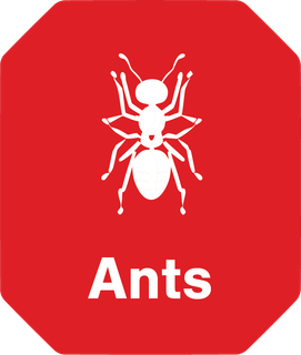 A red sign with an ant and the word ants on it