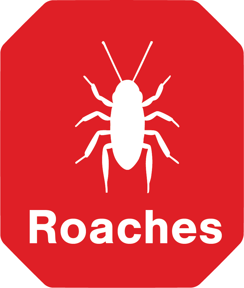 A red sign that says roaches on it
