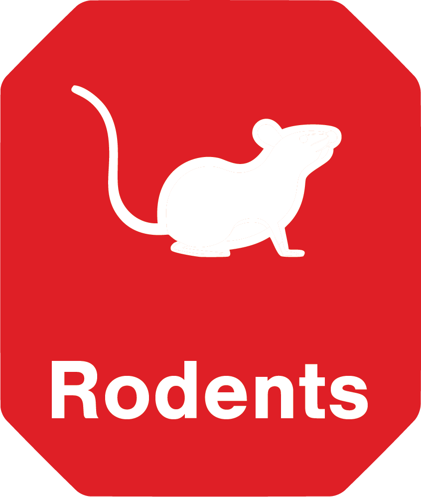 A red sign that says rodent on it