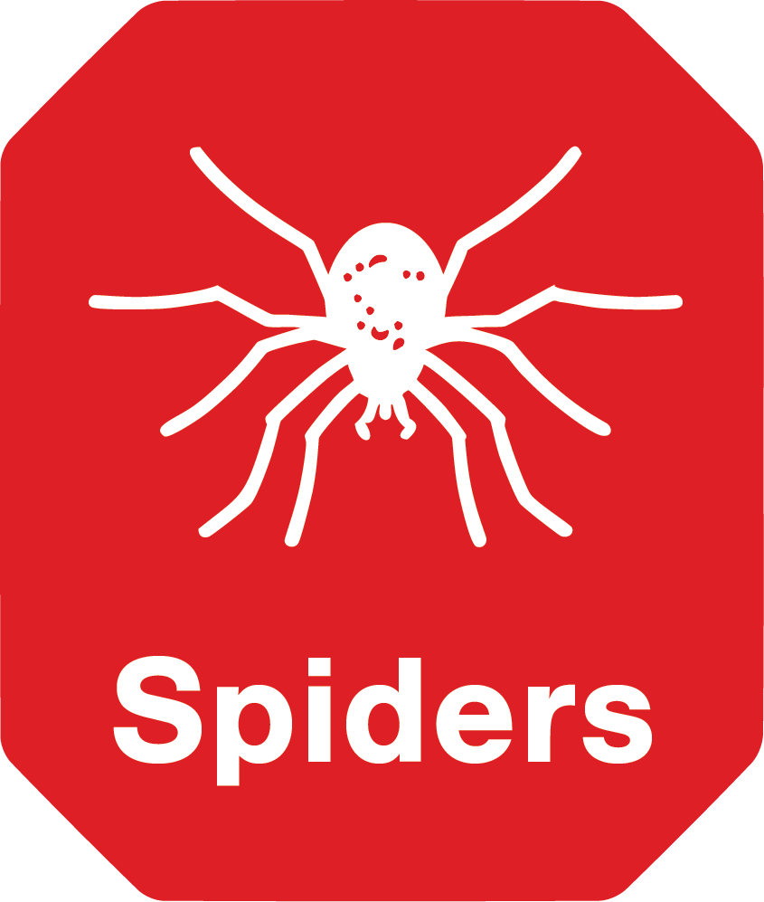 A red sign with a white spider and the word spiders
