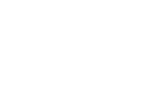 Lynn CPAS logo