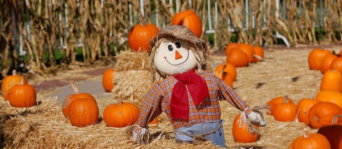 Pumpkin Decoration