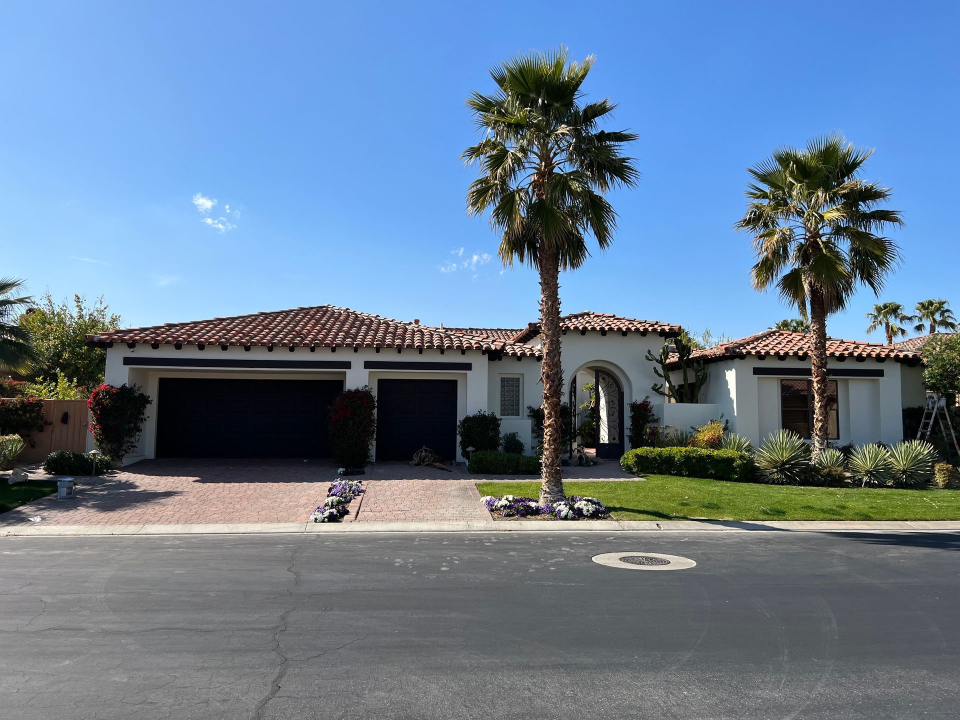 A house with two palm trees in front of it
