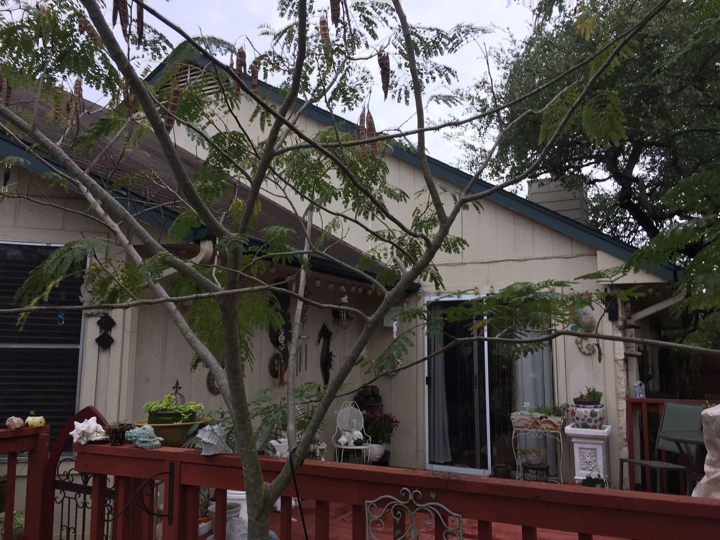 A white house with a red deck and a tree in front of it.