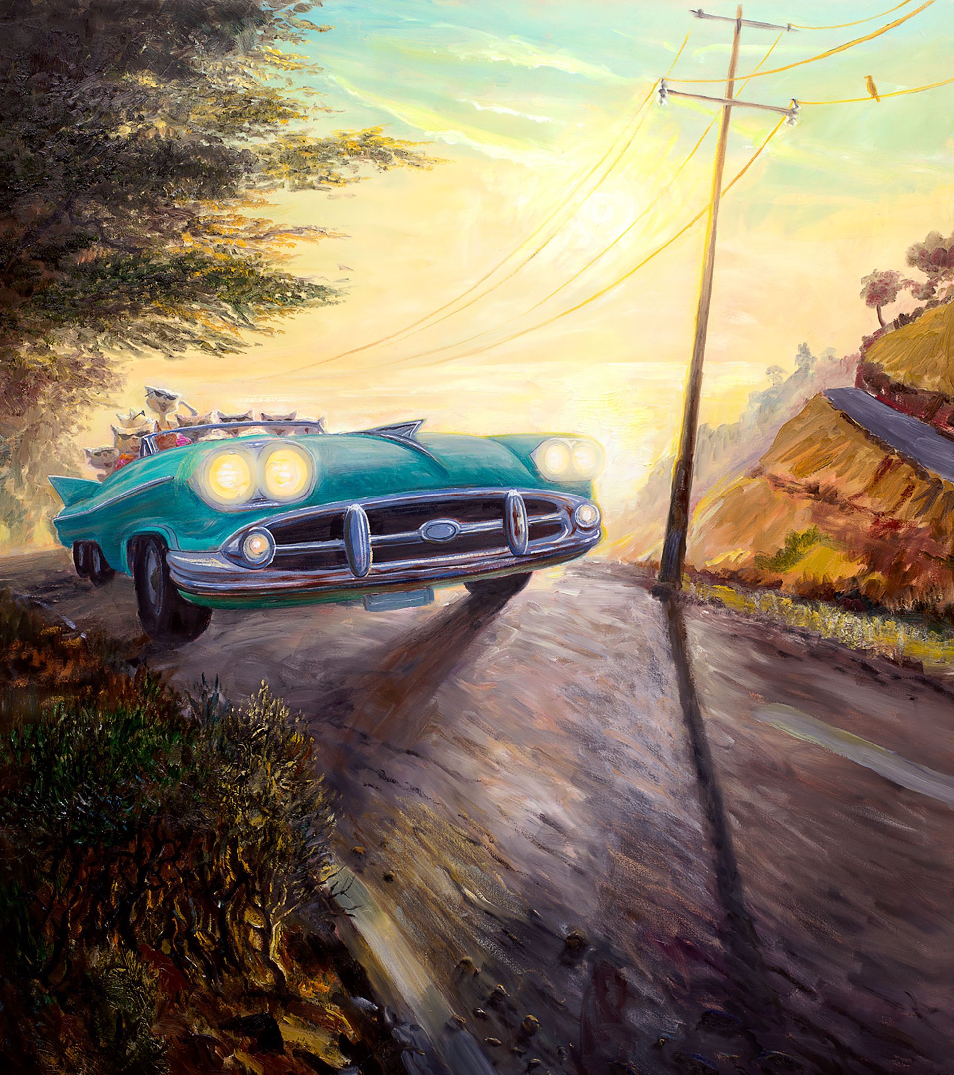 Feline Fender Bender