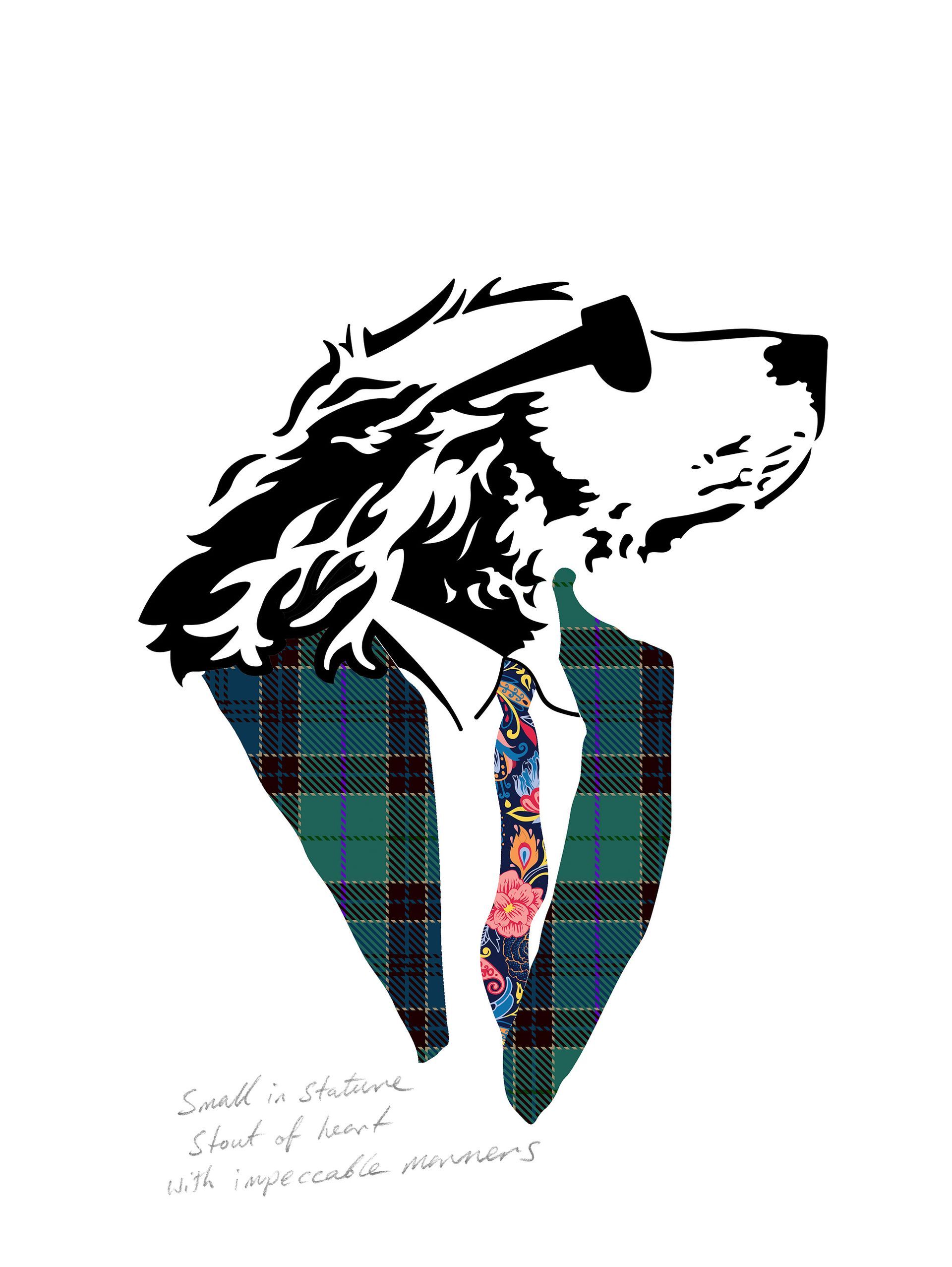 Lonely Dog in Tartan