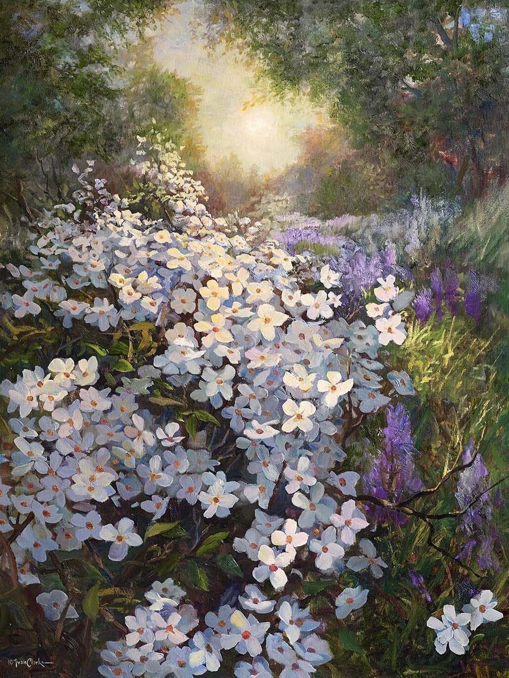 Wild Clemantis Masterwork Ltd edition