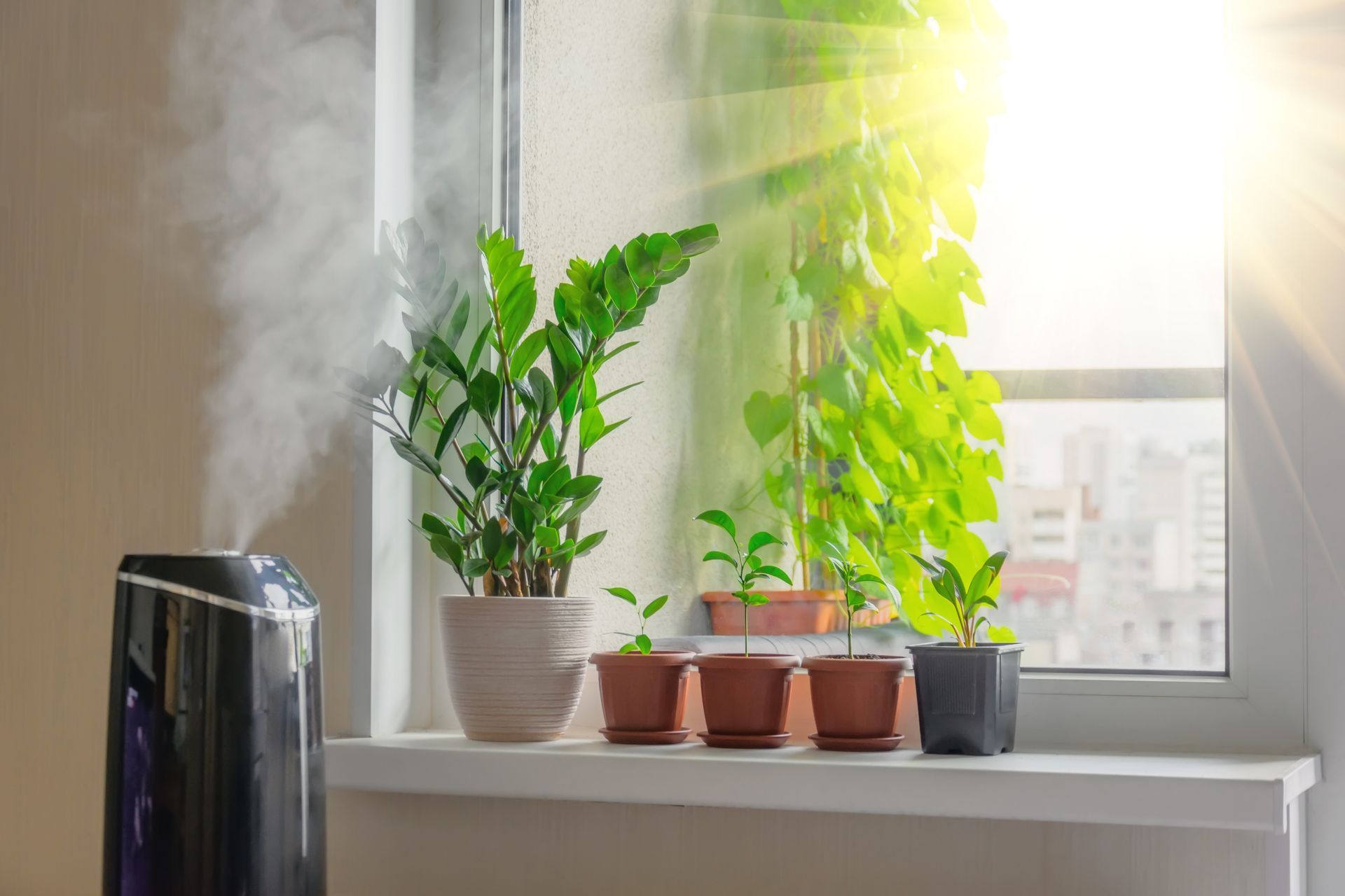 A humidifier is sitting on a window sill next to potted plants.