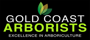 Gold Coast Arborists