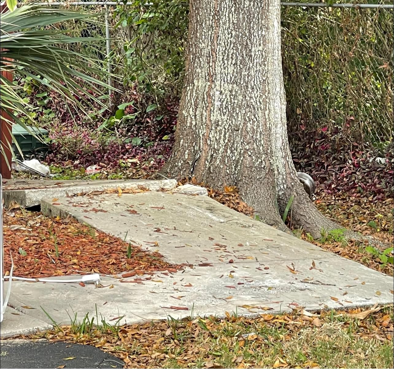 A concrete walkway with a tree in the background.