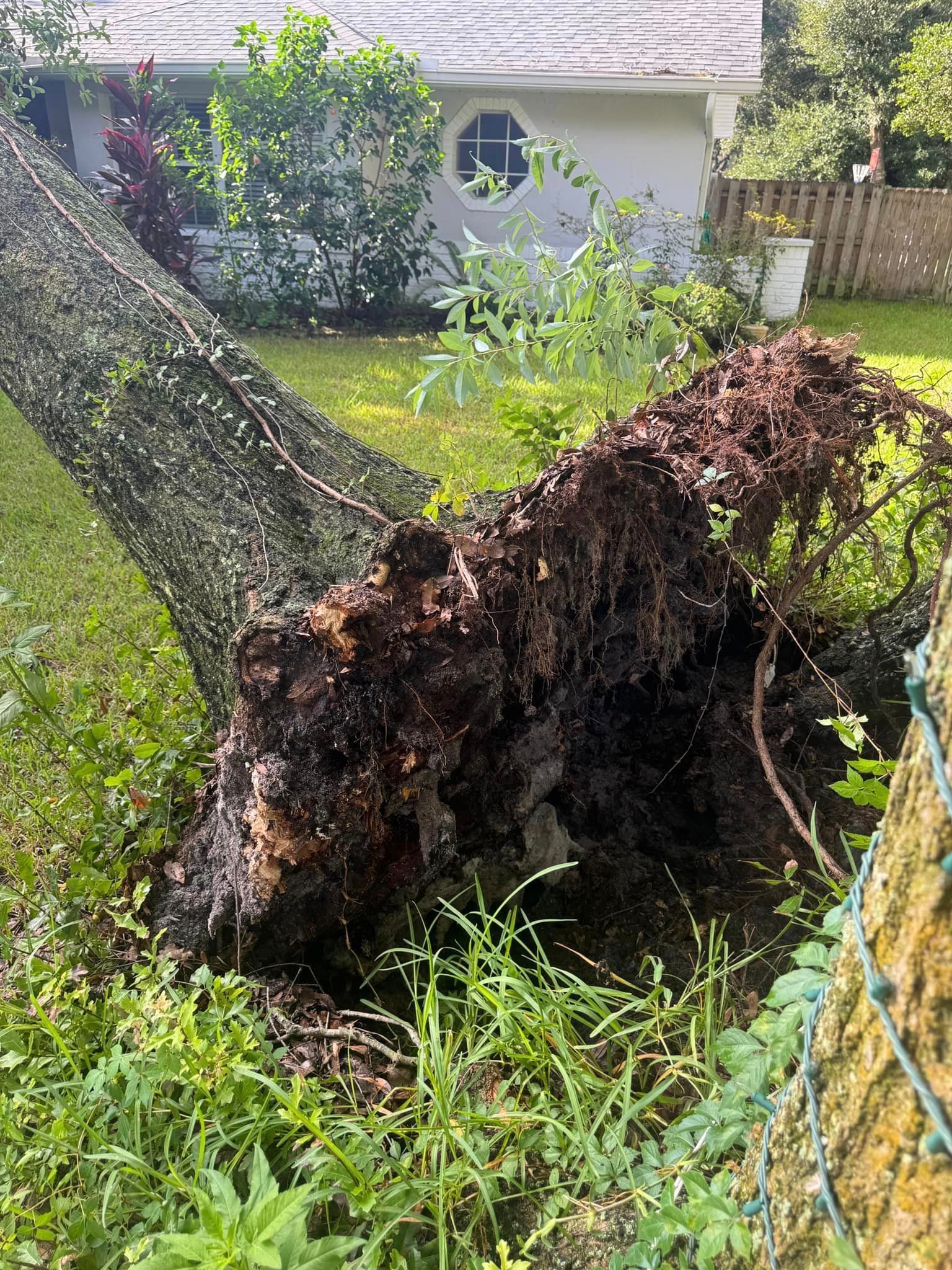 A large tree stump is laying in the grass in front of a house.