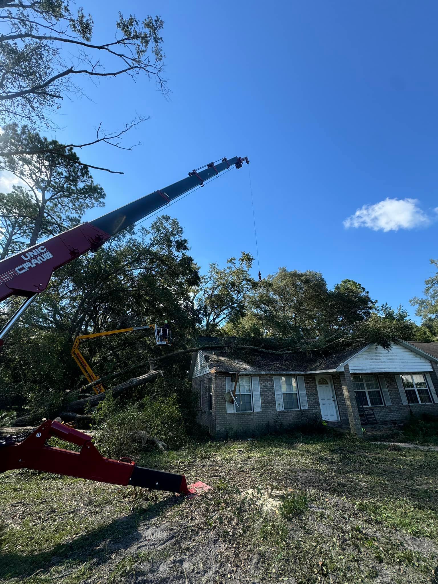 A crane is cutting a tree in front of a house.