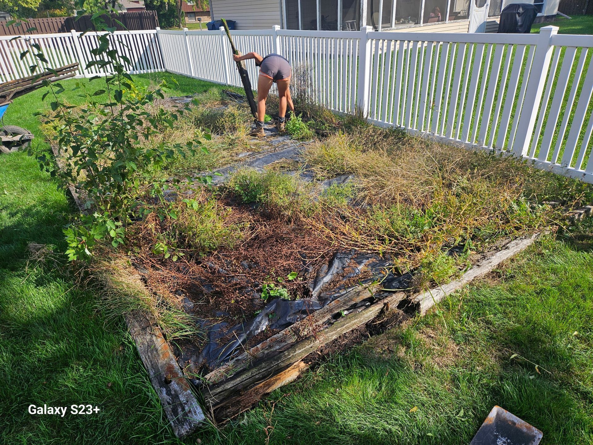 Person weeding a raised garden bed bordered by wood and a white picket fence.