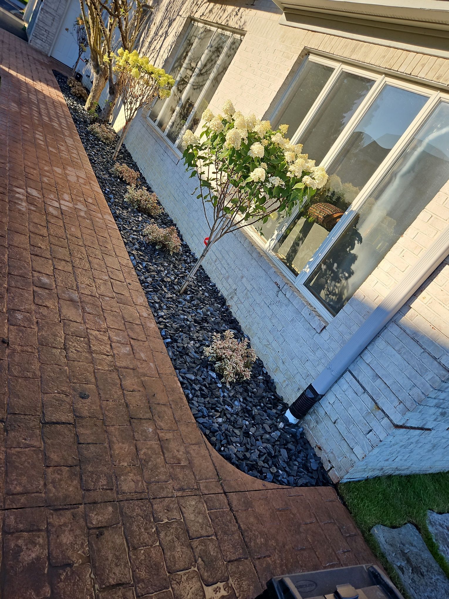 Brick pathway next to a white house with a flower box and dark mulch.