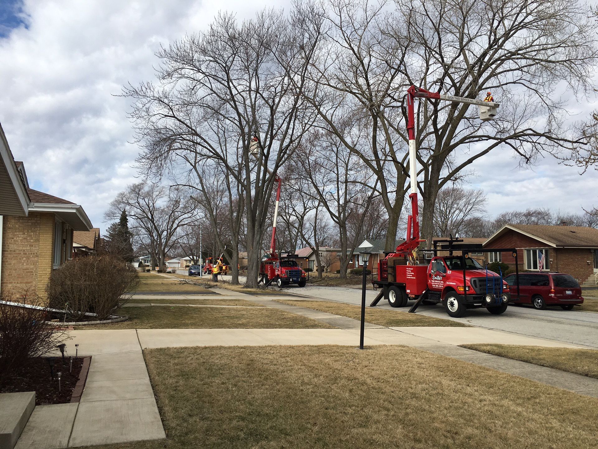 Man Using Remote-Controlled Tree Removal — Alsip, IL — Smitty’s Tree Service