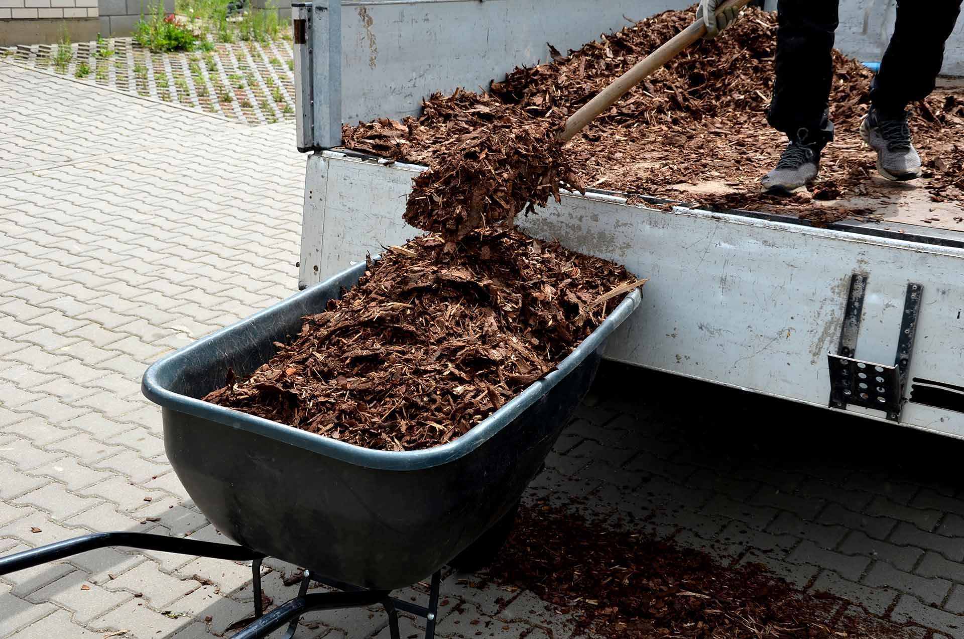 A man is unloading wood chips with a shovel. A man is unloading wood chips with a shovel.