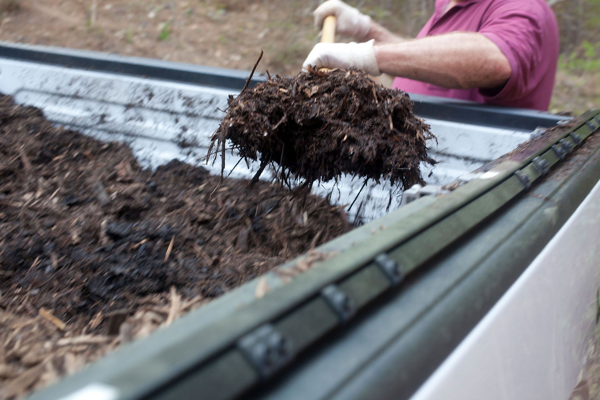 A man is getting mulch out from the back of a pickup truck. A man is getting mulch out from the back of a pickup truck.
