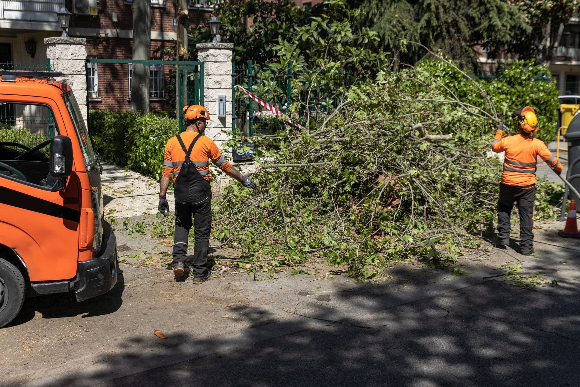 Persons in orange and black uniform with a pile of fallen branches. Persons in orange and black uniform with a pile of fallen branches.