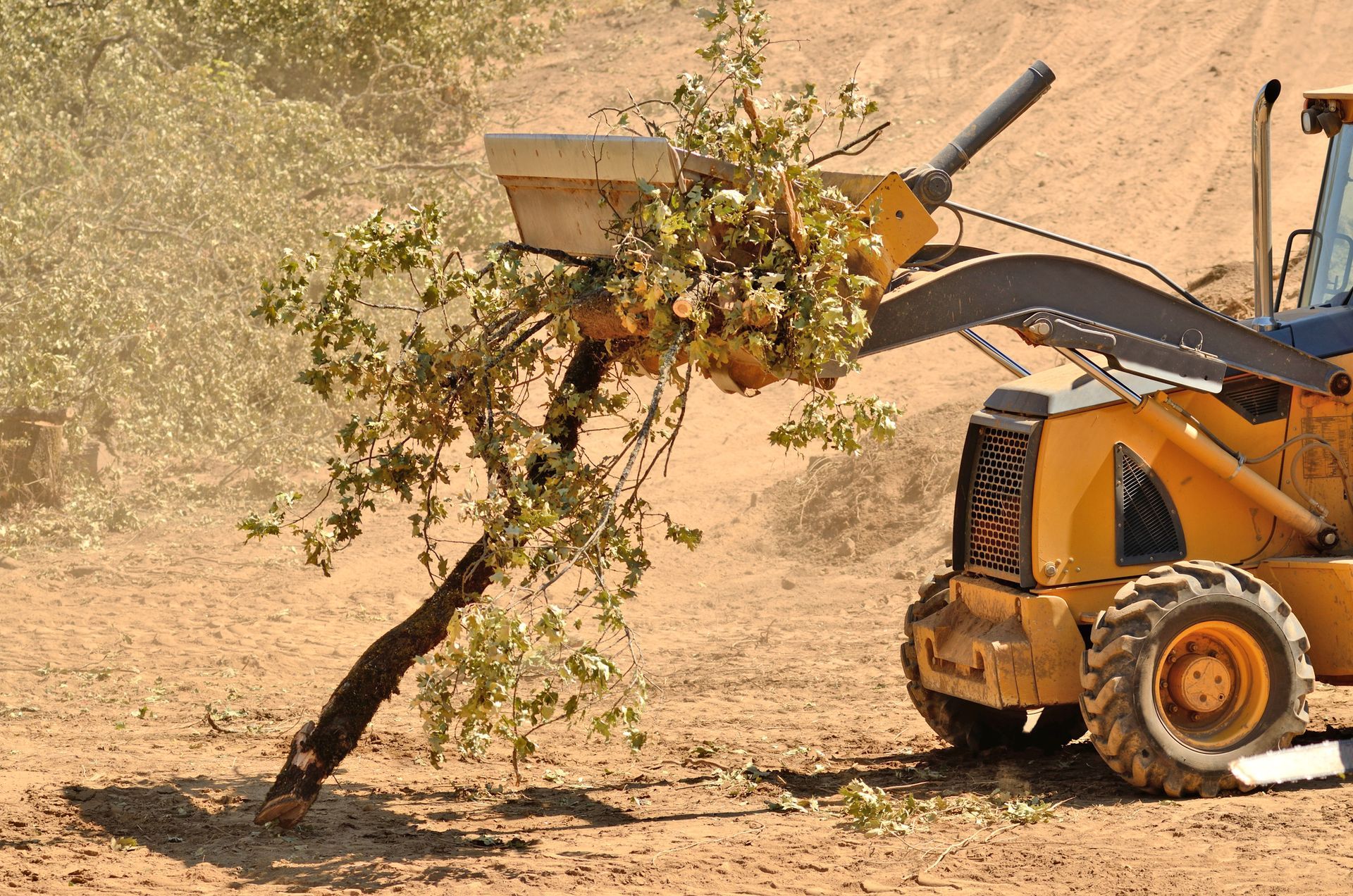 Tractor with a bucket of branches.