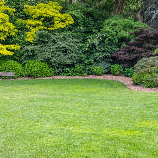 Lawn — Alsip, IL — Smitty’s Tree Service