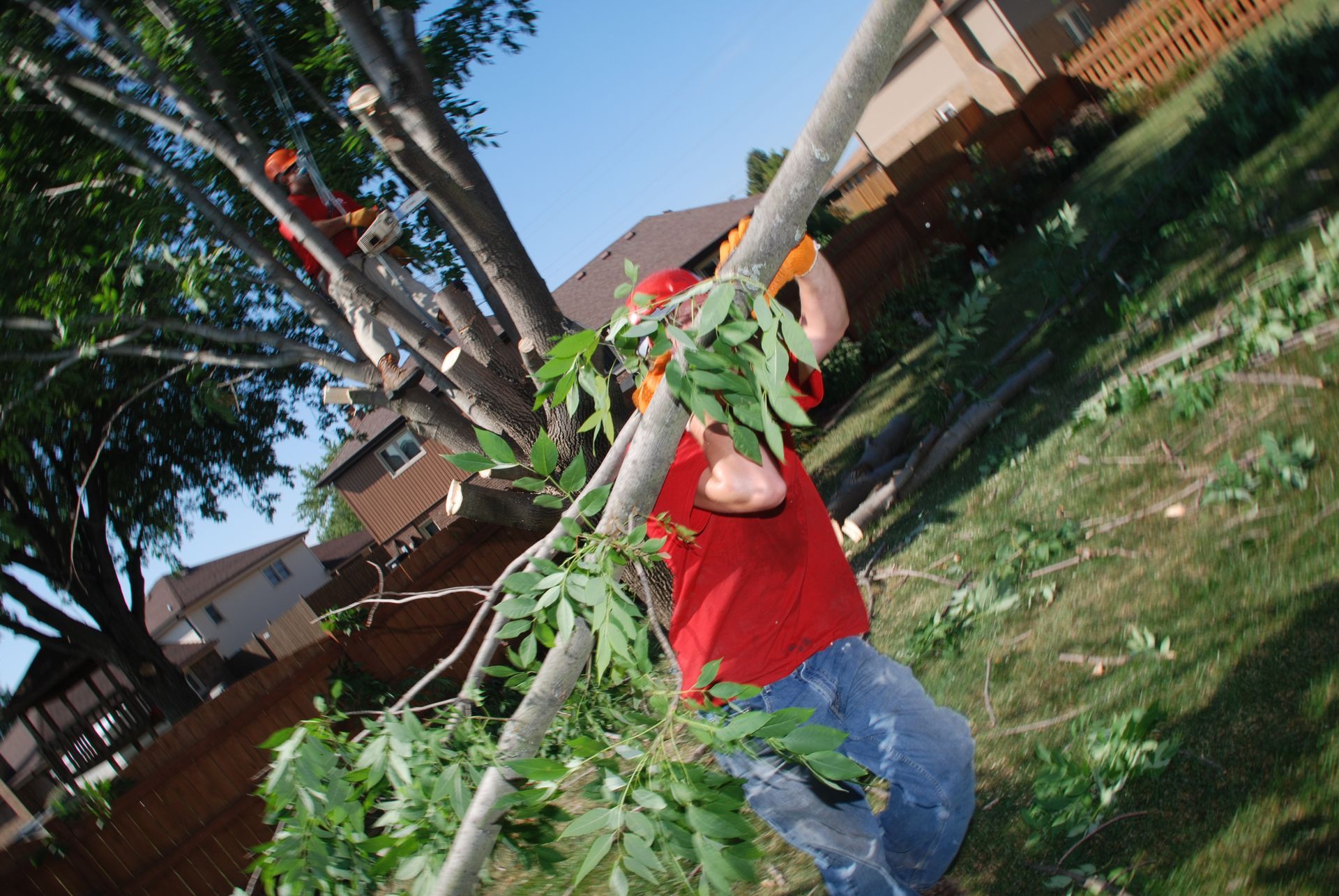 Tree Service Jobs Smitty's Tree Service in Alsip, IL