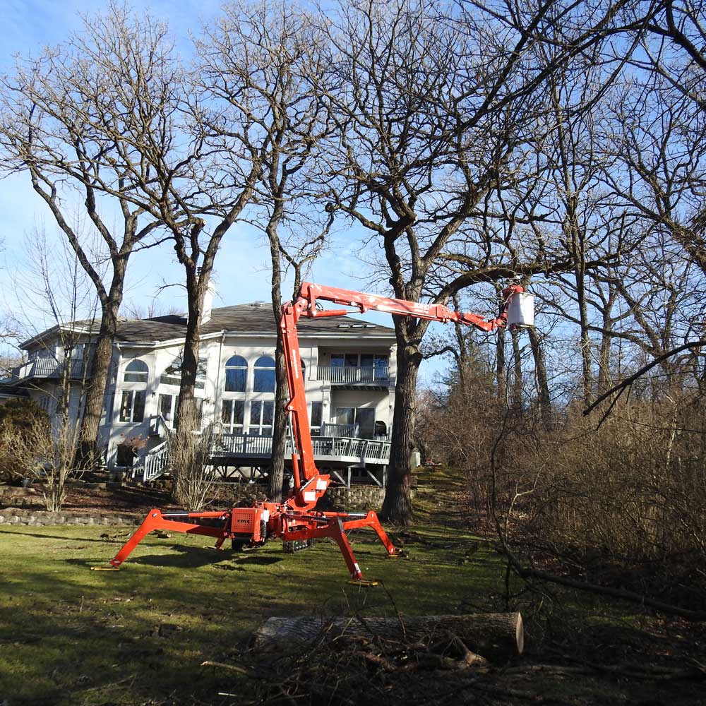 Man on A Platform Cutting a Tree — Alsip, IL — Smitty’s Tree Service