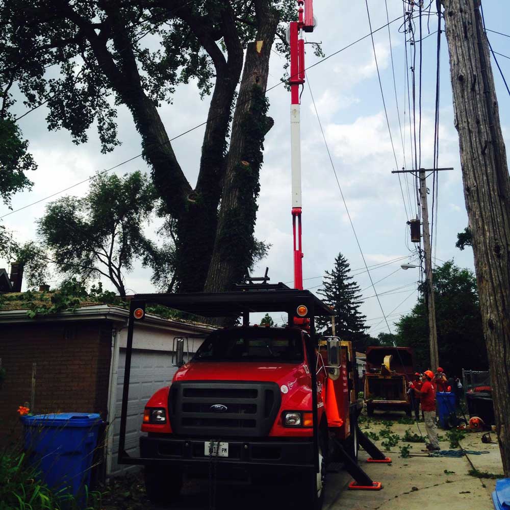 Cutting Tree in A Residential Area — Alsip, IL — Smitty’s Tree Service