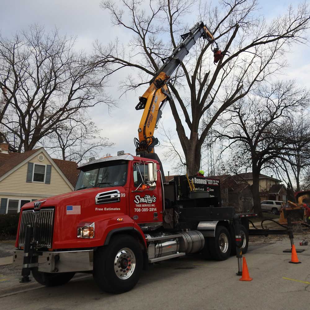 Trimming a Big Tree — Alsip, IL — Smitty’s Tree Service
