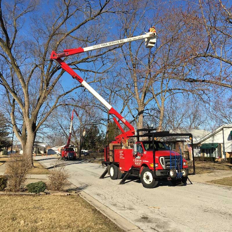 Cutting Trees on The Side of The Road — Alsip, IL — Smitty’s Tree Service