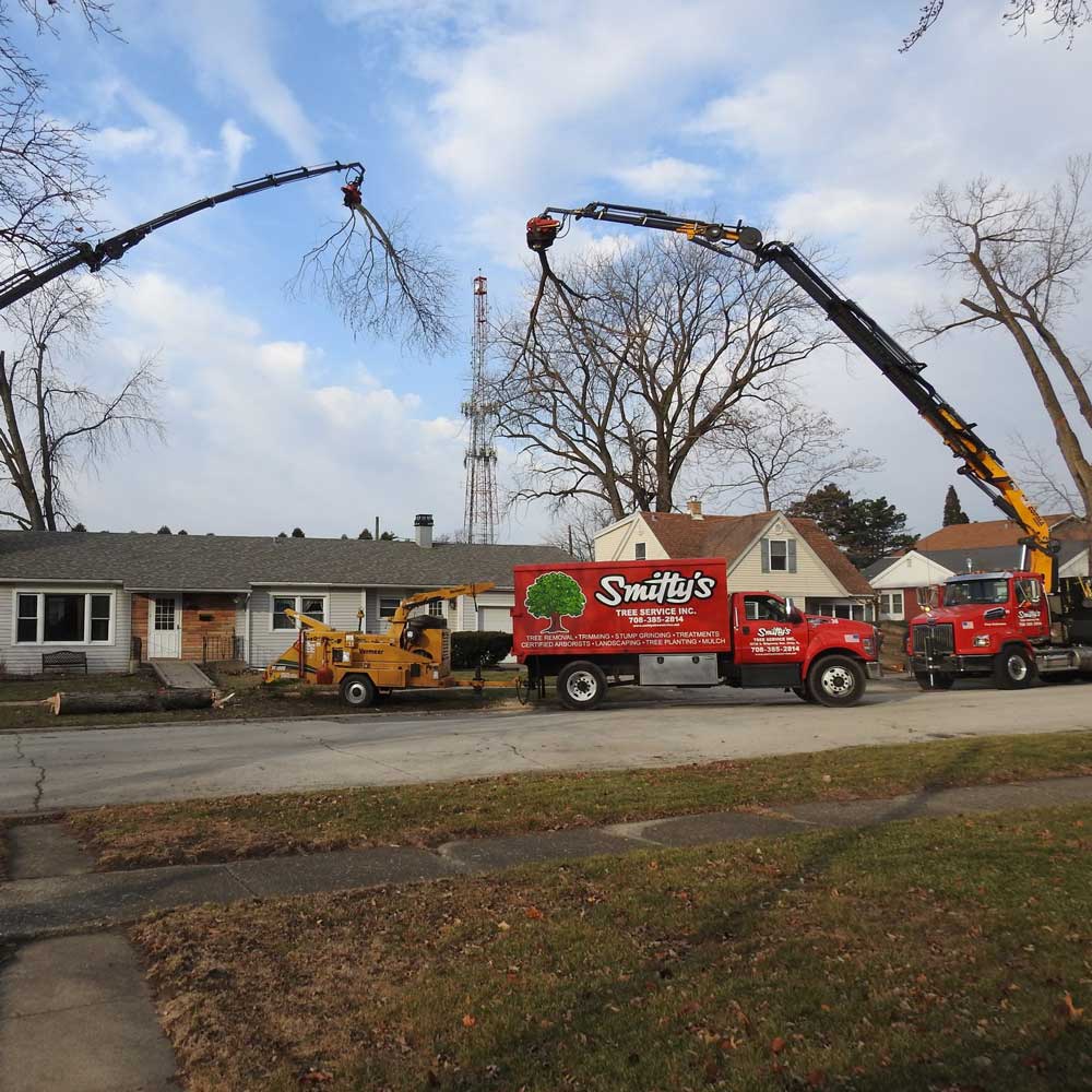 Multiple Trucks Outside the House — Alsip, IL — Smitty’s Tree Service