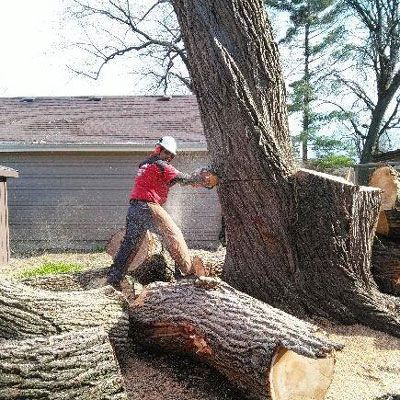 Man Cutting a Tree — Alsip, IL — Smitty’s Tree Service