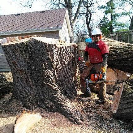 Smitty's Tree Service in Alsip, IL | Chicago Tree Removal