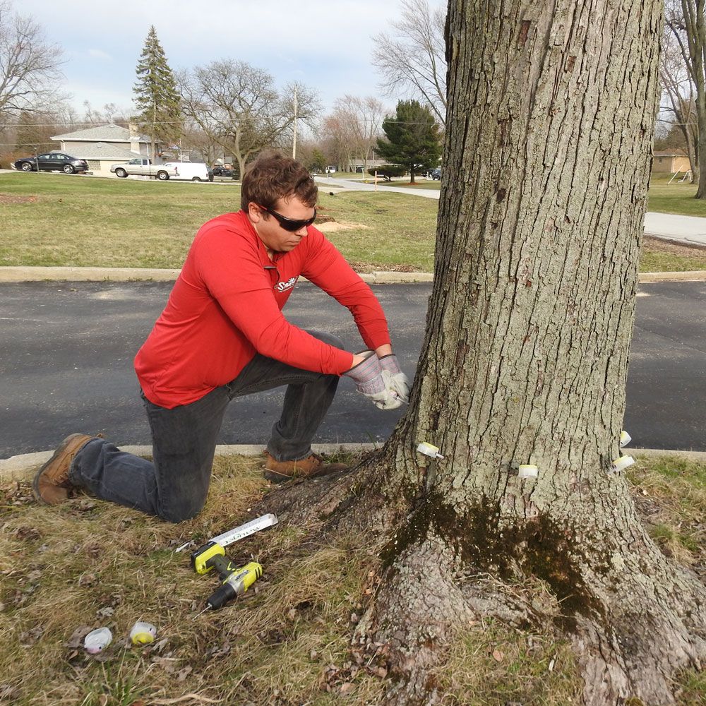 Tree Care Service — Alsip, IL — Smitty’s Tree Service